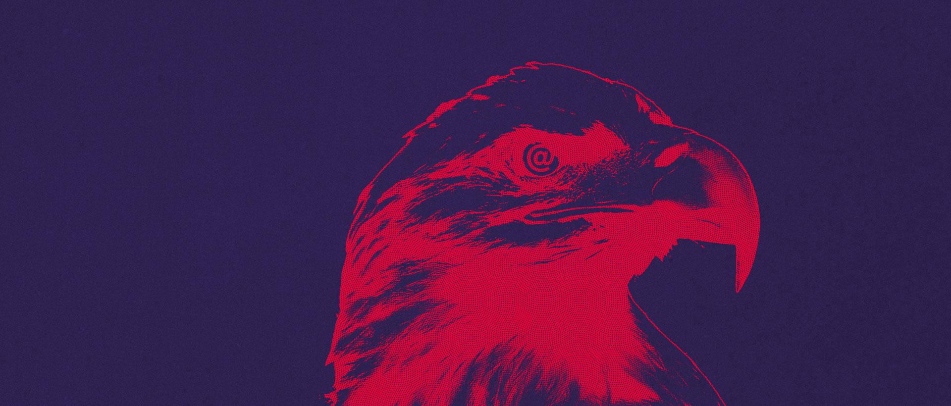 eaagle-bkg_01-new
